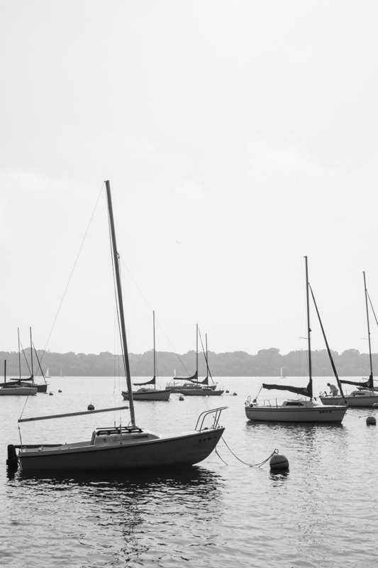Sailboats on Lake Harriet