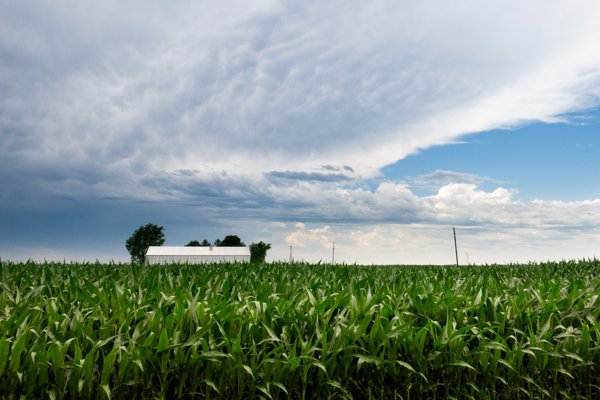 Summer Storm