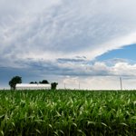 Summer Storm